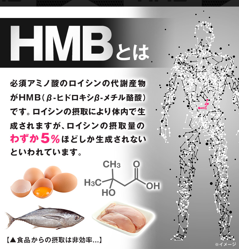 HMBとは