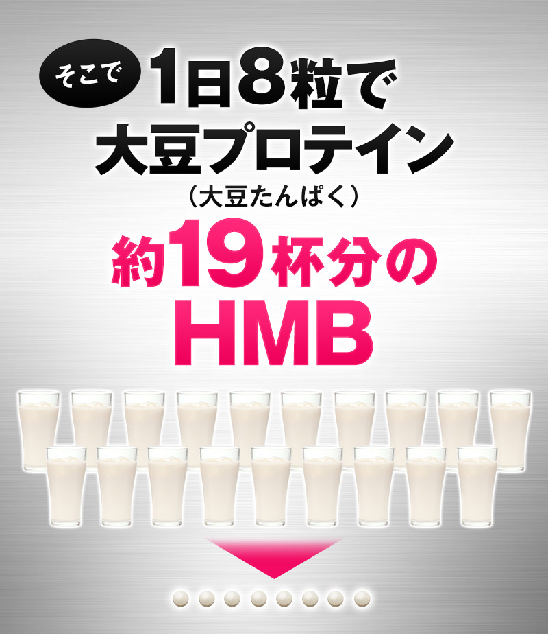 大豆プロテイン19杯分のHMB