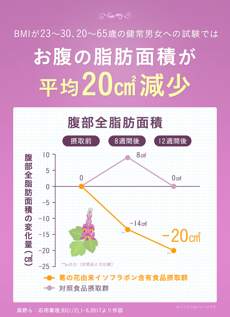 お腹の脂肪面積が平均20平方cm減少