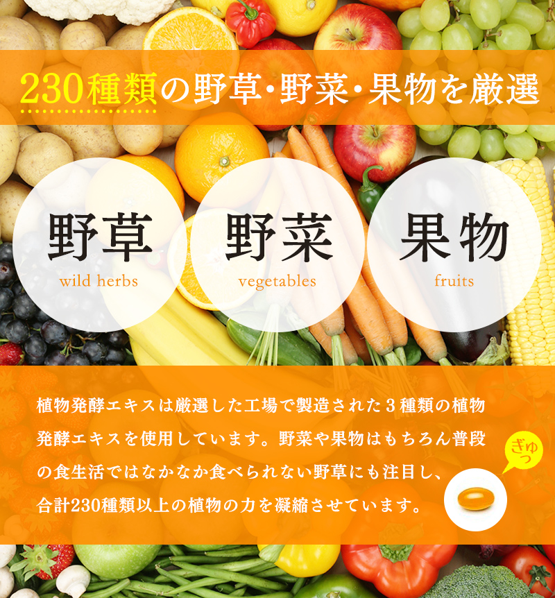 230種類の野菜・野草・果物を厳選