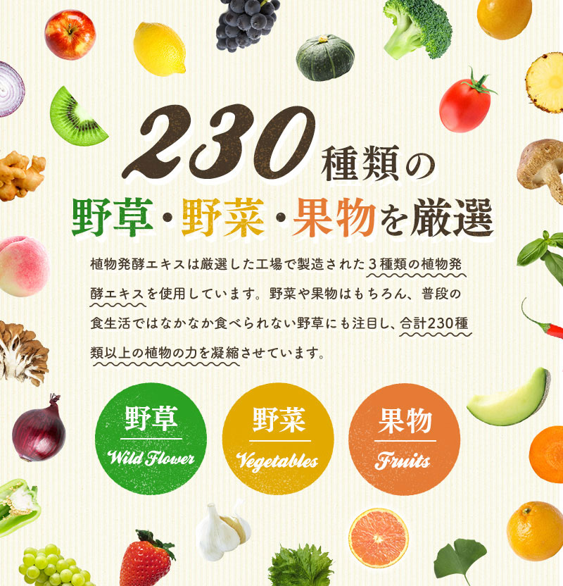 230種類の野草・野菜・果物を厳選