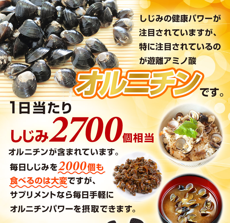 遊離アミノ酸 オルニチン