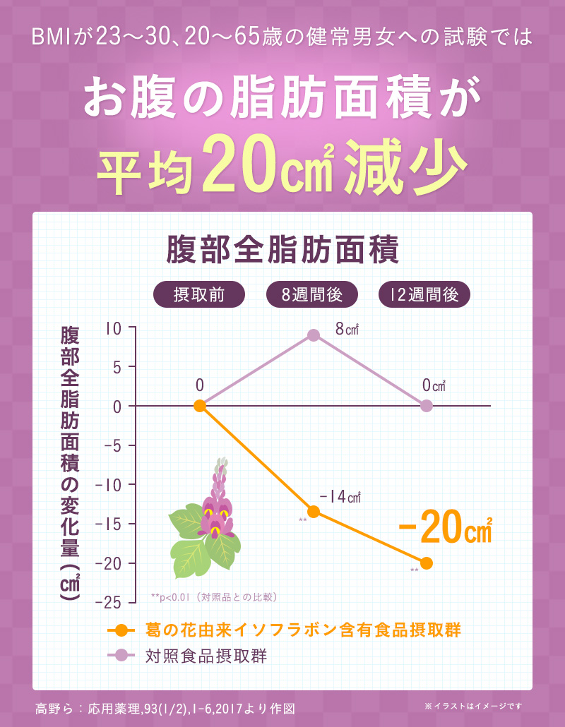 お腹の脂肪面積が平均20センチ平方メートル減少